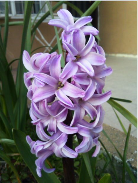 Name:  sum.JPG
Views: 262
Size:  51.5 KB