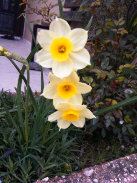 Name:  ner4.JPG
Views: 494
Size:  56.0 KB