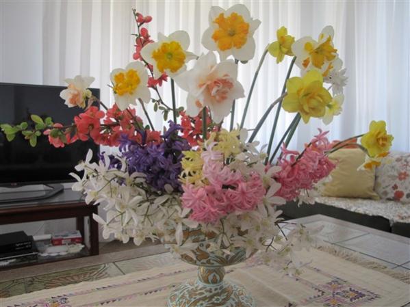 Name:  IMG_0228 (600 x 450).jpg
Views: 694
Size:  44.2 KB