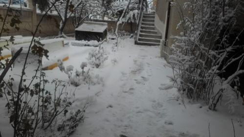 Name:  004.jpg
Views: 1385
Size:  25.0 KB