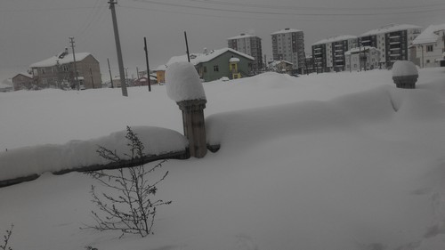 Name:  010.jpg
Views: 1395
Size:  44.7 KB
