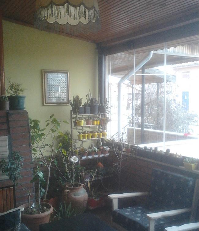 Name:  IMG_20170327_123319-1.jpg
Views: 719
Size:  68.6 KB