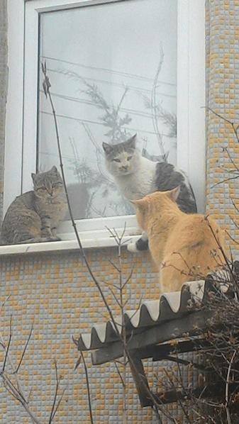 Name:  2.jpg
Views: 1313
Size:  36.5 KB