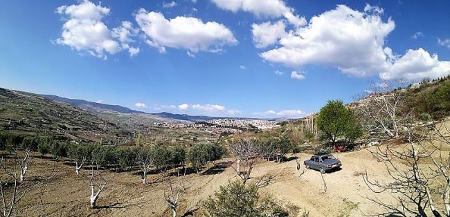 Name:  panaroma.jpg
Views: 462
Size:  54.1 KB