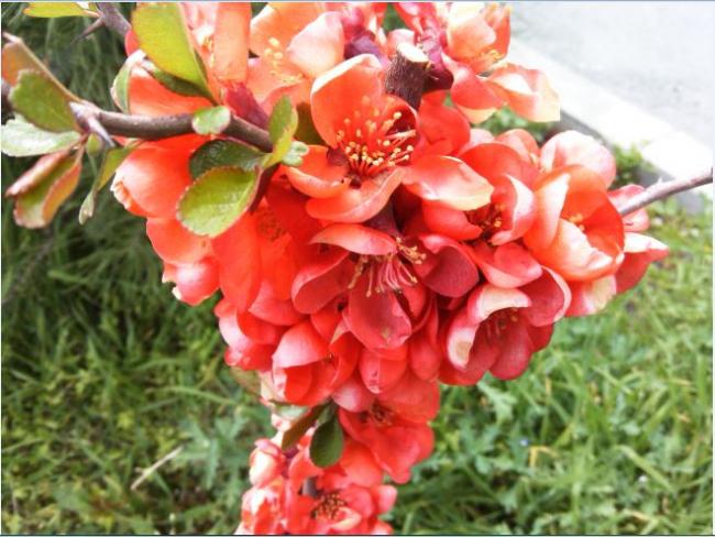 Name:  ba2.jpg
Views: 286
Size:  55.8 KB