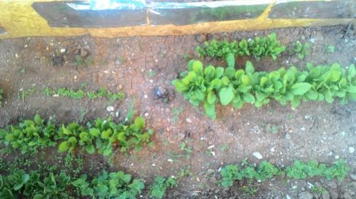 Name:  P_20170405_181724.jpg
Views: 1195
Size:  32.2 KB