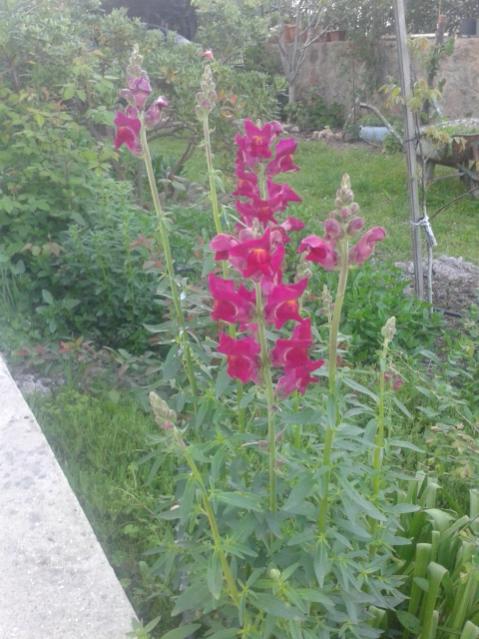 Name:  20170405_190525.jpg
Views: 333
Size:  54.7 KB
