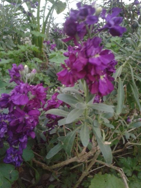 Name:  20170324_192842.jpg
Views: 337
Size:  51.8 KB