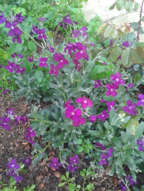 Name:  20170317_184314.jpg
Views: 350
Size:  64.1 KB