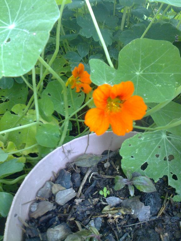 Name:  Fotoraf4174.jpg
Views: 307
Size:  73.1 KB