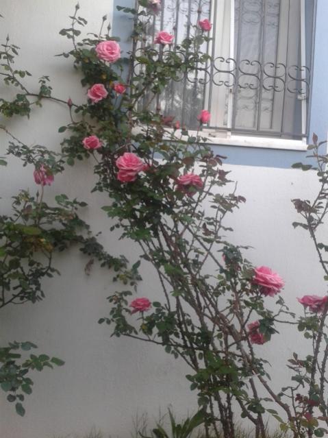Name:  20170405_190957.jpg
Views: 343
Size:  50.6 KB