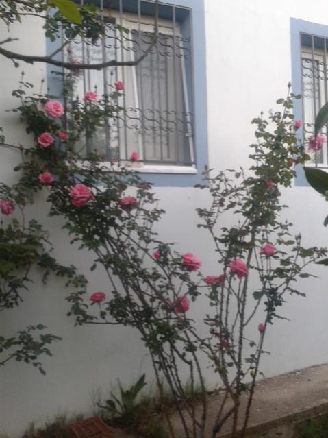 Name:  20170405_191043.jpg
Views: 323
Size:  45.7 KB