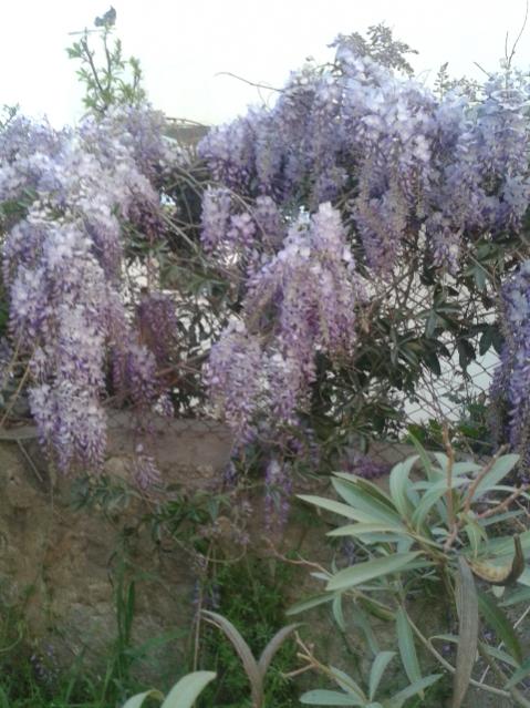 Name:  20170327_191727.jpg
Views: 320
Size:  56.9 KB