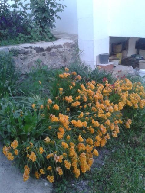 Name:  20170406_193537.jpg
Views: 284
Size:  55.5 KB