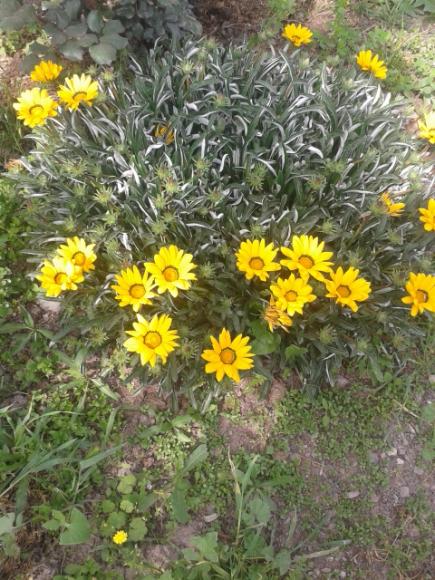 Name:  20170406_152151.jpg
Views: 269
Size:  67.3 KB