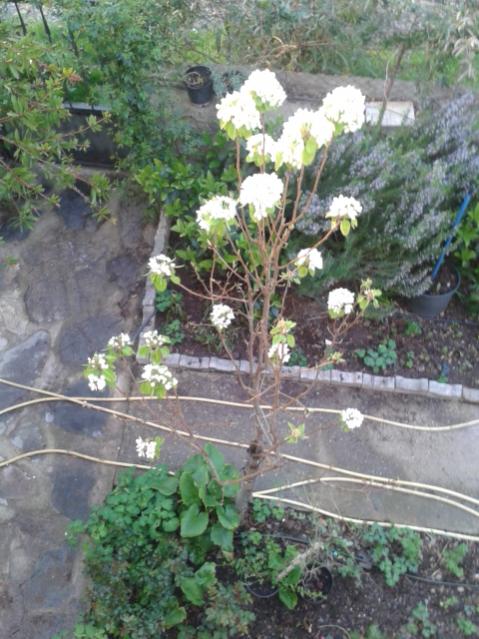 Name:  20170317_184757.jpg
Views: 283
Size:  60.8 KB