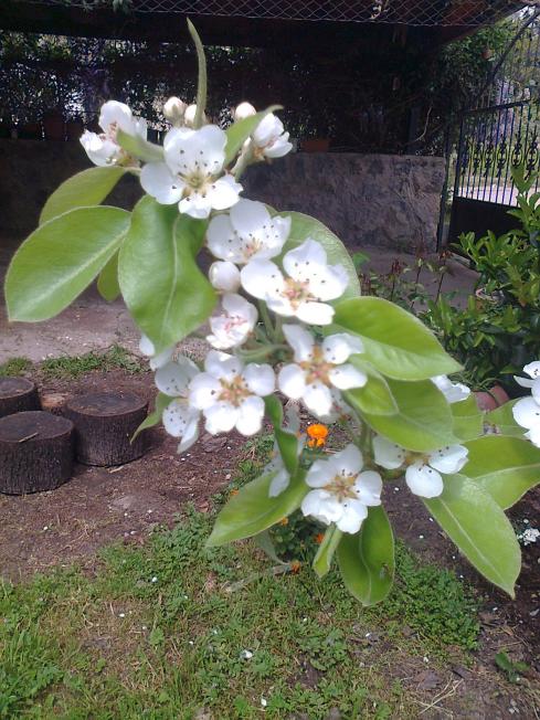 Name:  Fotoraf4189.jpg
Views: 290
Size:  74.6 KB