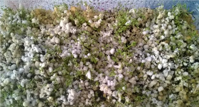 Name:  ipek 10.04.2017.jpg
Views: 813
Size:  60.4 KB