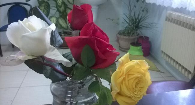 Name: gül 13.04.2017.jpg
Views: 801
Size: 28.0 KB