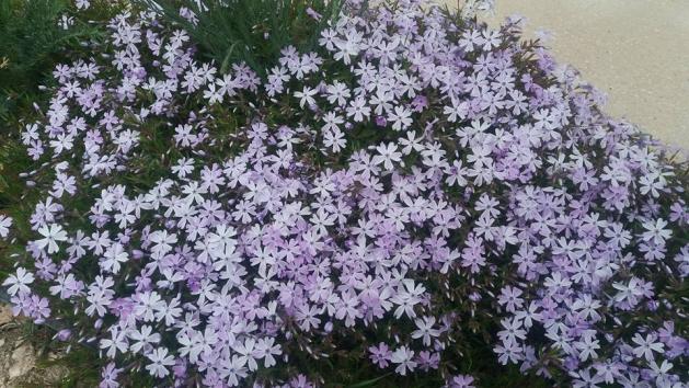 Name:  12nisan.jpg
Views: 434
Size:  71.2 KB