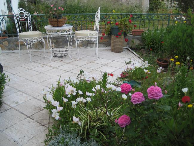 Name:  IMG_8279.jpg
Views: 430
Size:  67.9 KB