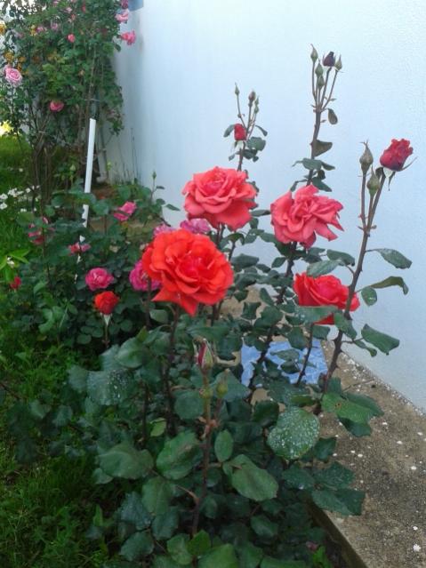 Name:  20170418_180500.jpg
Views: 359
Size:  51.8 KB