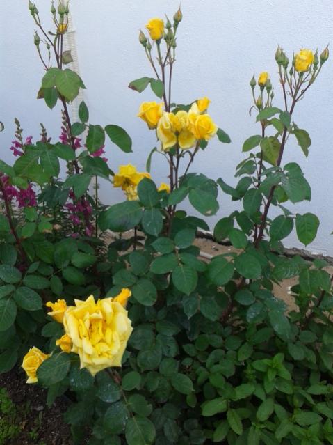 Name:  20170418_180520.jpg
Views: 366
Size:  49.6 KB