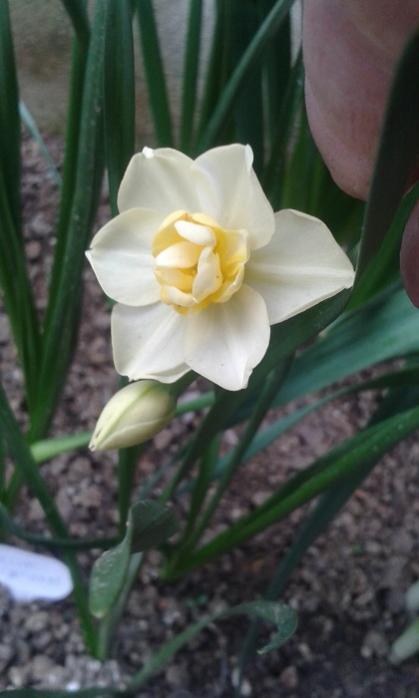 Name:  20170407_125310.jpg
Views: 911
Size:  31.8 KB