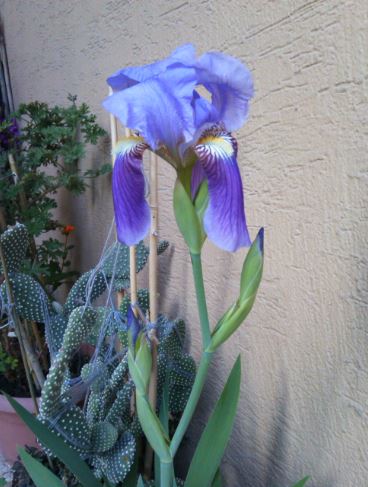 Name:  te.JPG
Views: 816
Size:  43.2 KB