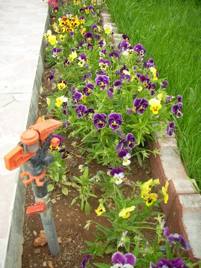 Name:  n bahe 2.JPG
Views: 3931
Size:  58.2 KB