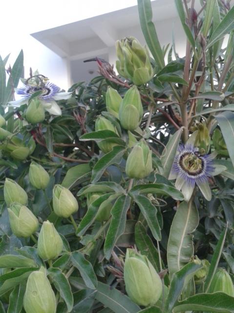 Name:  20170429_192759.jpg
Views: 335
Size:  50.4 KB