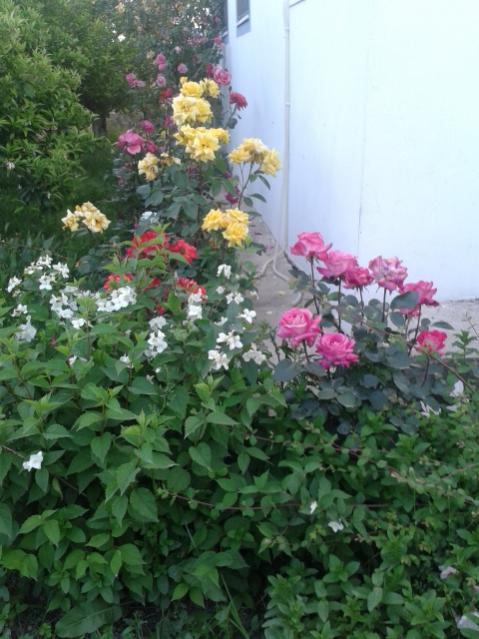 Name:  20170429_192212.jpg
Views: 320
Size:  53.2 KB