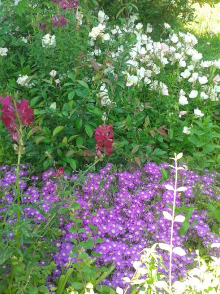 Name:  20170429_132934.jpg
Views: 334
Size:  67.0 KB