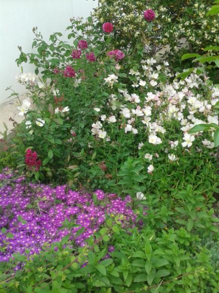 Name:  20170501_135420.jpg
Views: 318
Size:  66.8 KB