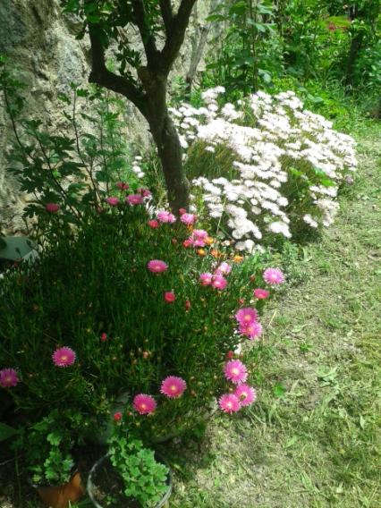 Name:  20170501_135403.jpg
Views: 329
Size:  68.2 KB
