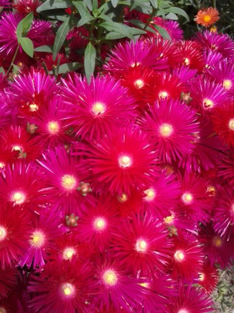 Name:  20170501_135302.jpg
Views: 315
Size:  58.5 KB