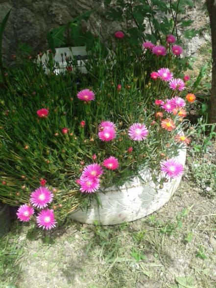 Name:  20170501_135354.jpg
Views: 325
Size:  67.0 KB