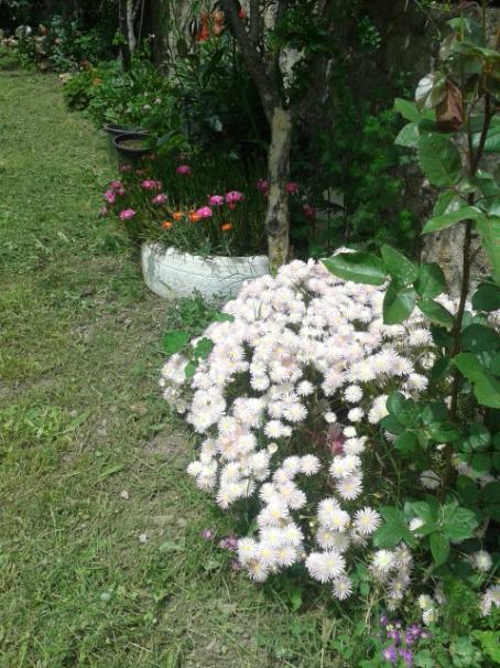 Name:  20170501_135344.jpg
Views: 319
Size:  66.8 KB