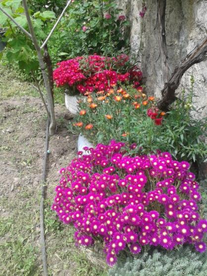 Name:  20170501_135331.jpg
Views: 321
Size:  68.4 KB