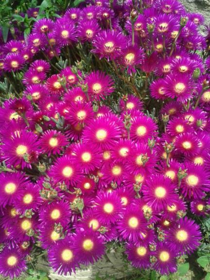 Name:  20170501_135227.jpg
Views: 325
Size:  65.8 KB
