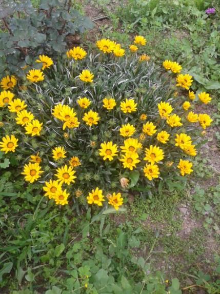 Name:  20170413_145650.jpg
Views: 324
Size:  66.9 KB