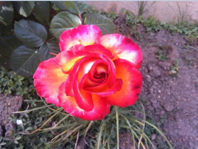 Name:  gu2.jpg
Views: 437
Size:  49.6 KB