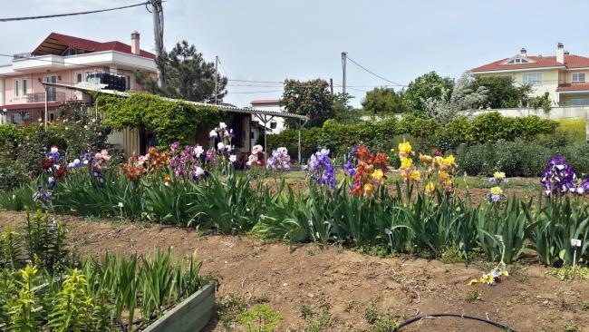 Name:  20170507_140322_Richtone(HDR).jpg
Views: 548
Size:  67.1 KB