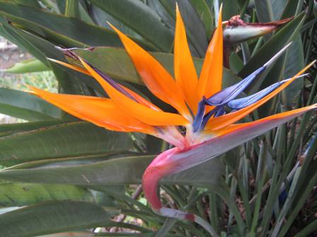 Name:  IMG_8363.JPG
Views: 1009
Size:  35.4 KB
