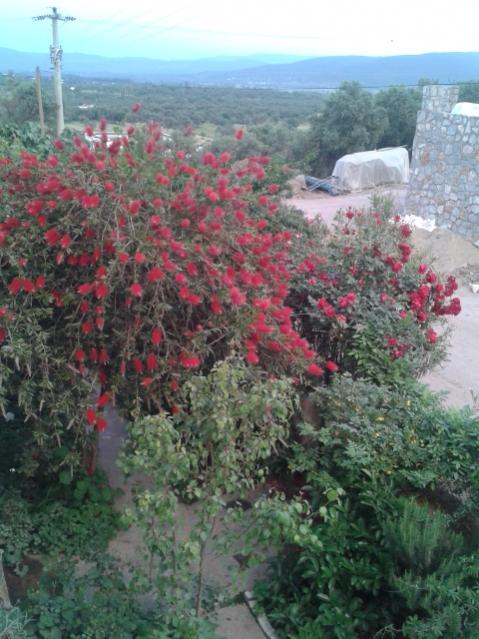 Name:  20170504_195602.jpg
Views: 184
Size:  56.6 KB