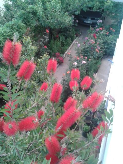 Name:  20170504_195715.jpg
Views: 171
Size:  56.9 KB