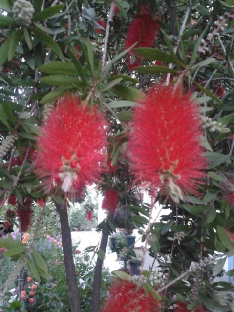 Name:  20170510_200846.jpg
Views: 193
Size:  57.3 KB