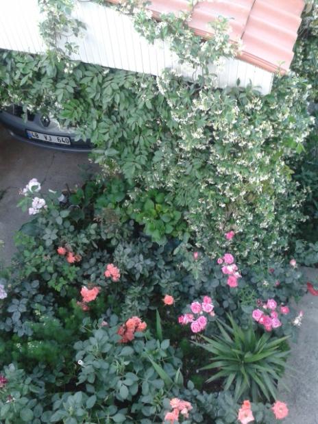 Name:  20170510_194154.jpg
Views: 179
Size:  64.4 KB
