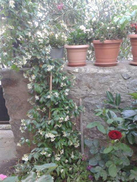 Name:  20170510_183301.jpg
Views: 156
Size:  63.9 KB
