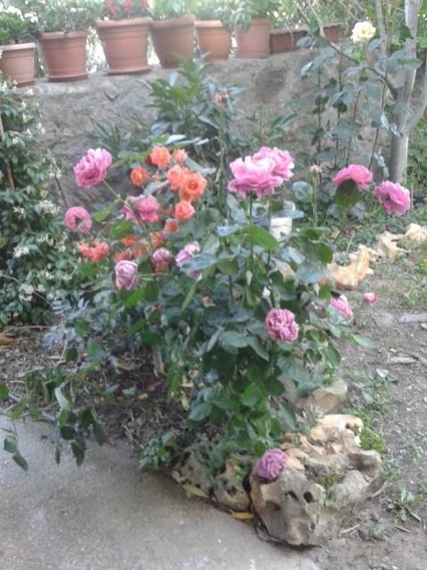 Name:  20170510_183315.jpg
Views: 150
Size:  61.7 KB